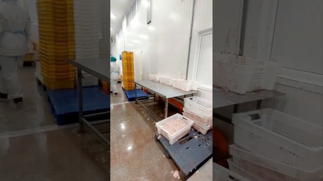 калужская птицефабрика. смотреть онлайн