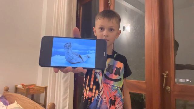 Петров Радмир Окружающий мир 1 класс 22 неделя животные холодных районов смотреть онлайн