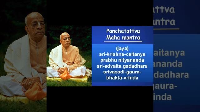 ДЖАПА 16 кругов Шрила Прабхупада Маха Мантра