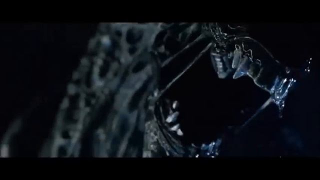 Ежик в тумане и его кошмары... Чешская народная песня... смотреть онлайн