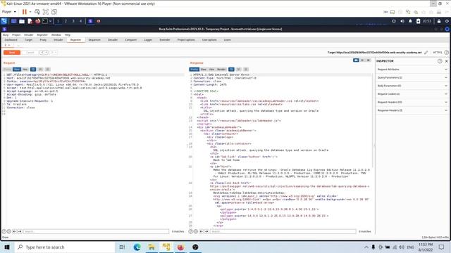 Lab: SQL injection attack, querying the database type and version on Oracle смотреть онлайн