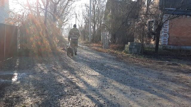 Дрессировка Восточно-европейской овчарки, 5 мес Гера смотреть онлайн
