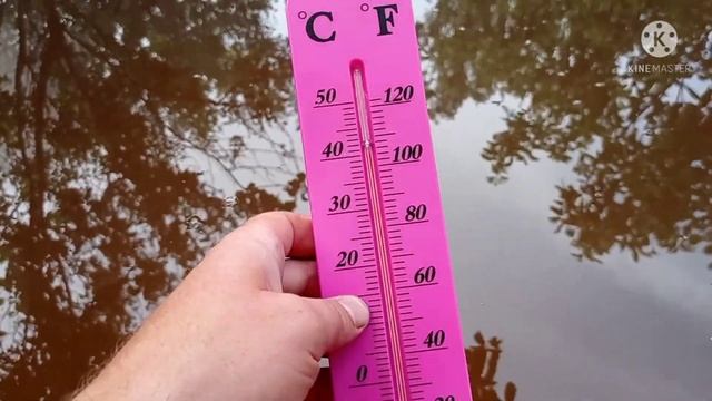 бассейн с поддонов смотреть онлайн