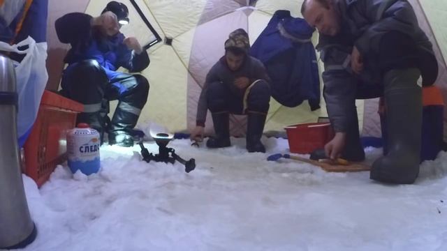 Сумасшедший клёв в декабре! Рыбалка на севере Стофети и компания 2017 смотреть онлайн