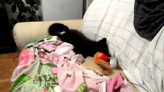 Вилька играет смотреть онлайн