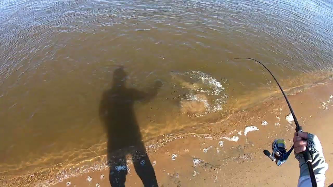 Она сомневалась до последнего. Атака щуки смотреть онлайн