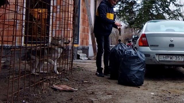 Сколько можно заработать на сборе алюминиевых банок? смотреть онлайн