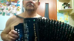 Татарская мелодия на гармошке