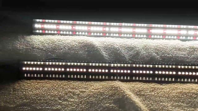 Орхидеи/Суперский результат/Сюрпризы от Дикого кота и румбы/Фитолампы Минифермер/16 апреля 2020 г. смотреть онлайн