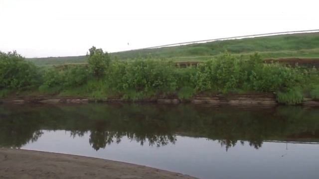 Река Тара. Пение птиц, утки. Село Кыштовка Новосибирская область. Природа Новосибирской области. смотреть онлайн