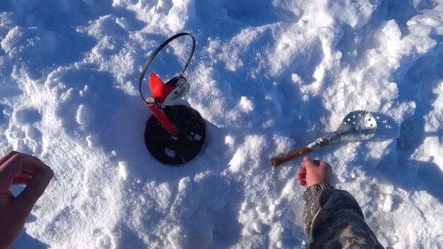 ЗИМНЯЯ РЫБАЛКА СТОЛЬКО ЩУКИ Я В СВОЕЙ ЖИЗНИ ЕЩЕ НЕ ЛОВИЛ . WINTER FISHING . смотреть онлайн