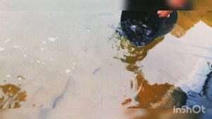 ➡️ЗАРЫБЛЕНИЕ ФОРЕЛИ В СОБСТВЕННЫЙ ПРУД,  КАК ПРАВИЛЬНО ЗАПУСТИТЬ ЧТОБЫ РЫБКА ХОРОШО ПРИЖИЛАСЬ❗❗❗