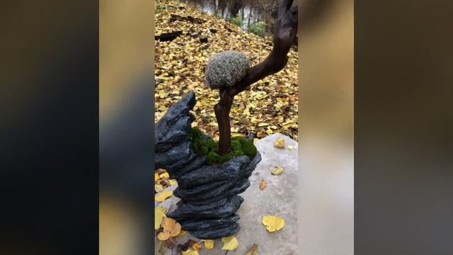 Дерево из цетрарии и ягеля, в скале смотреть онлайн