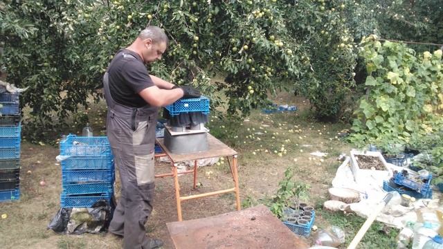 Как быстро набить рассадные пакеты смотреть онлайн
