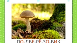 Грибы - Учебные Карточки (Домана) для детей №22