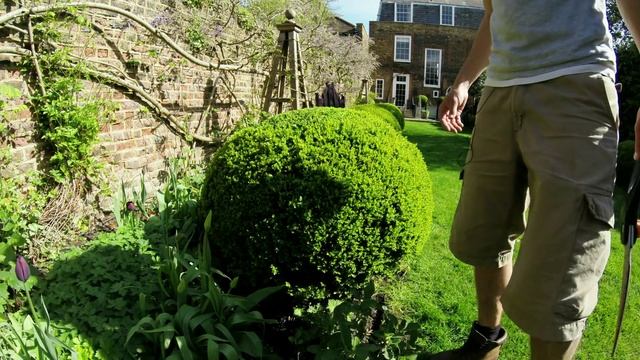 GWORLD - 001 - Topiary. care and maintenance of Buxus Sempervirens. Chiswick. смотреть онлайн