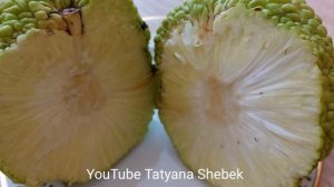 Вот какое необычное дерево! Божий дар! Адамово яблоко! Маклюра или лжеапельсин. Эффективность!