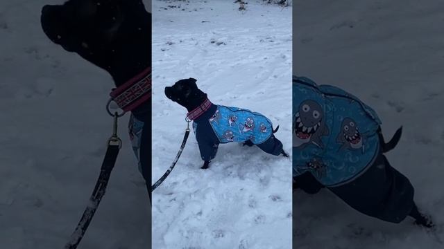 Всех с праздником ? МИР ТРУД МАЙ