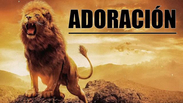 💕Adoración Extrema 💕 Para Orar Y Adorar A Dios 💕 Música De Adoración Cristiana