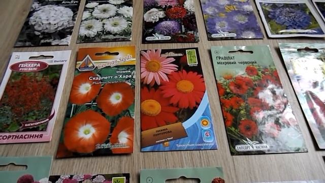 Какие цветы посеять в апреле - мае. смотреть онлайн