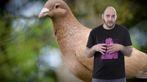 Психотерапия #25. Гидравлическая теория Лоренца и откуда появляются неврозы