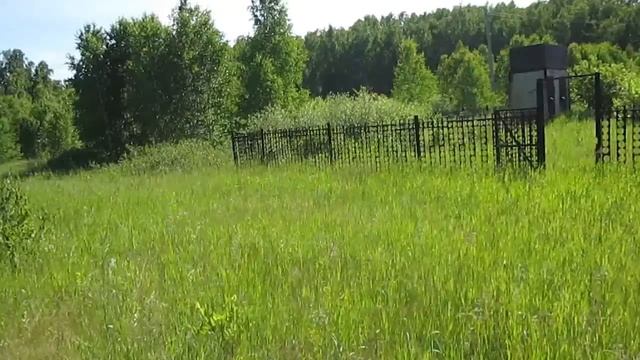 ДЕЛАЕМ ВЕНИК ДЛЯ БАНИ.ИЮНЬСКИЙ ЛЕС.