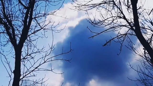 Зимнее небо. Winter sky. Зимове небо #зима #временагода смотреть онлайн