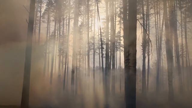 Страна читающая Тютчев Пожары Суевалов Д. КОГОАУ КФМЛ смотреть онлайн