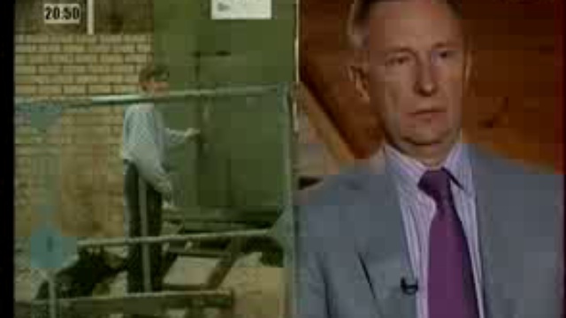 Стая часть 2