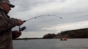 Ловля сазана на донную снасть р. Обь Камень-на-Оби