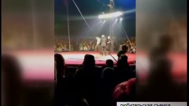Канатоходец гастролировавшего в Братске цирка сорвался с многометровой высоты смотреть онлайн