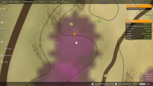 Almost vanilla Call of the Wild - Savanna Hunter Pt. 534 смотреть онлайн
