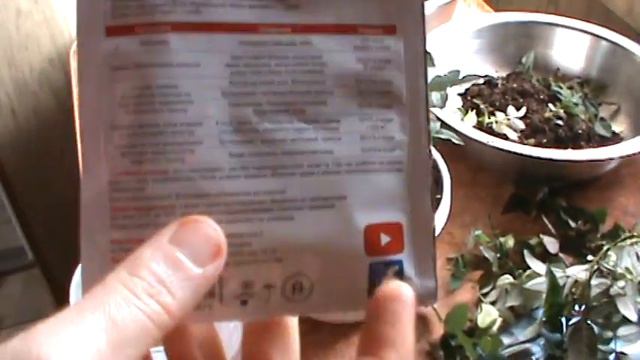 #Кімнатні рози#Що робити після покупки з ними# смотреть онлайн