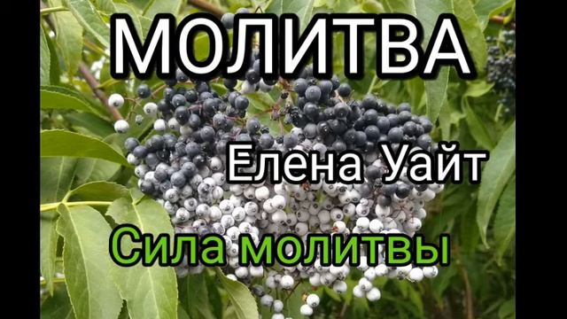 МОЛИТВА. Е. Уайт. глава 9. Сила Молитвы смотреть онлайн