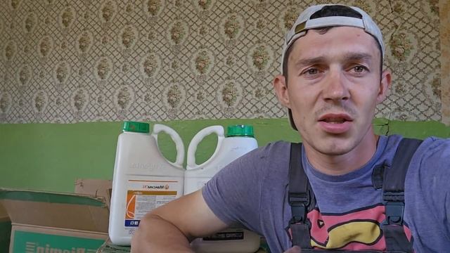 Про ціну на фунгіцид для часнику а саме Максим XL 035 не максим 025 не поутайте і купуйте оригінал. смотреть онлайн