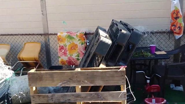 Big Bud: Outdoor Grow смотреть онлайн