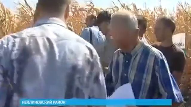 День поля в Неклиновском районе смотреть онлайн