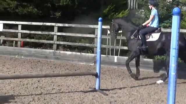 HAYESTOWN CLOVER QUIN смотреть онлайн