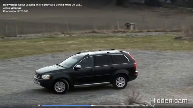 Гостиница для собак смотреть онлайн