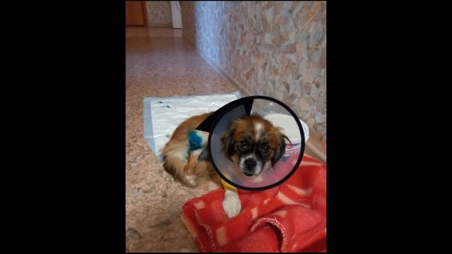 Выиграли в лотерею жизни.... смотреть онлайн