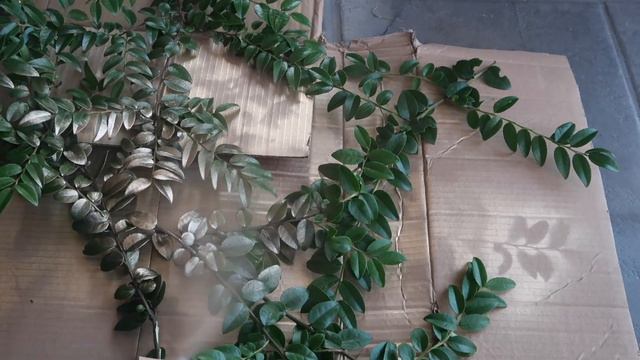 GLAM FALL DOLLAR TREE DIY ELEGANT CENTERPIECE AND TABLESCAPE смотреть онлайн