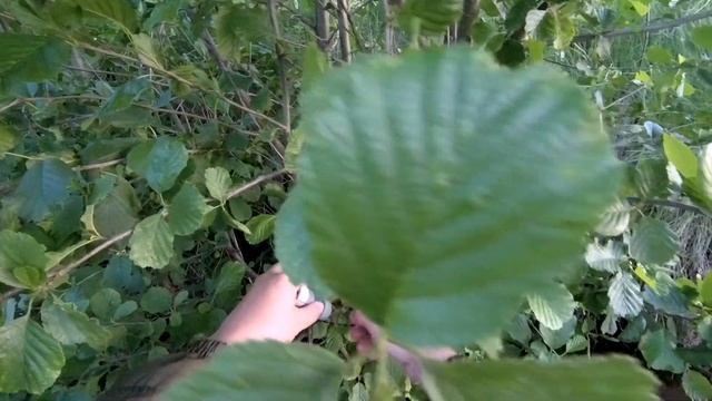 РЫБАЛКА С ЛОДКИ APACHE220 КАК ПОЙМАТЬ СУДАКА НА ЖИВЦА. #рыбалканазакидушки #какпойматьсудака смотреть онлайн