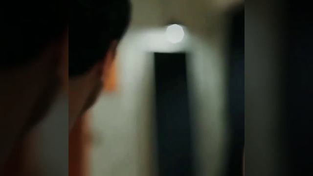 Турецкий сериал Зимородок #ветренный #зимородок #edser #nocturne смотреть онлайн