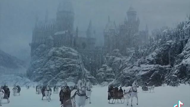 Гарри Поттер и Тайная комната тик ток🐍