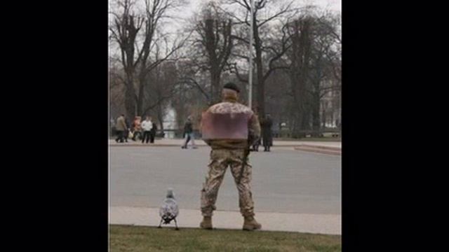 Сборная солянка. смотреть онлайн
