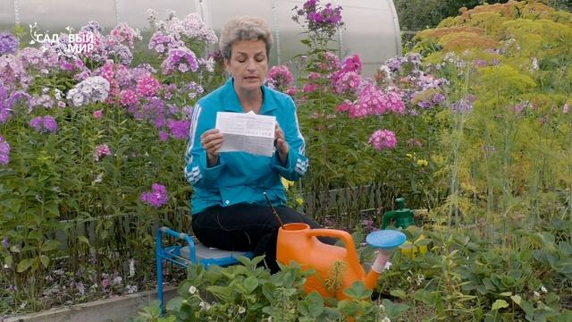 БИОзащита вашего урожая. Всё просто! Следуйте нашему примеру. Мы выращиваем овощи без химии. смотреть онлайн