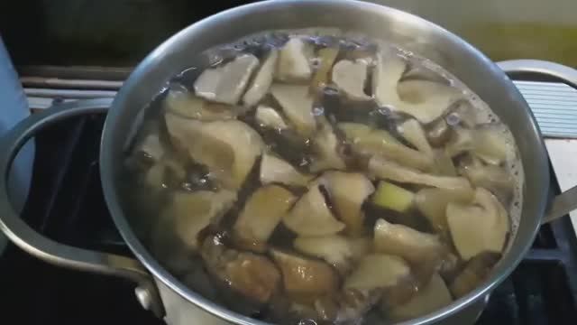 Жизнь на курорте