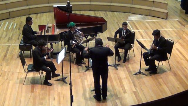 Quinteto: Clavecín, Vln, Clar, Crn, y Fagot (2014)- 3er mov. Carlos Islas Ari смотреть онлайн