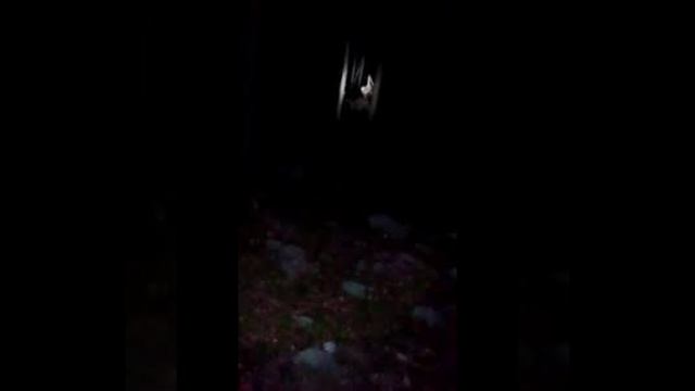 Cursed Images in Minecraft cave sounds (Описание на английском) смотреть онлайн