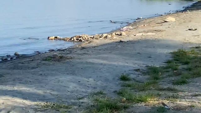 Ночёвка с подругой и Купание на озере . смотреть онлайн